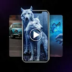 Video Live Wallpapers Maker | Indus Appstore | App Icon