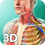 Human Anatomy | Indus Appstore | App Icon