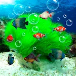 Aquarium | Indus Appstore | App Icon