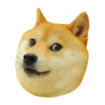 Doge 2048 | Indus Appstore | App Icon