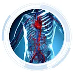 Anatomy and Physiology Quizlet | Indus Appstore | App Icon