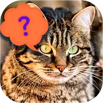 Guess the cat - quiz game | Indus Appstore | App Icon