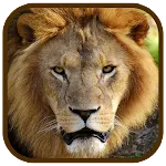 Animal Images App | Indus Appstore | App Icon