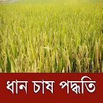 ধান চাষ পদ্ধতি ~ Paddy Cultiva | Indus Appstore | App Icon