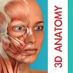 Human Anatomy Learning - 3D | Indus Appstore | App Icon