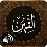 Surah Tin Audio | Indus Appstore | App Icon