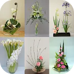 Japanese Flower Arrangement | Indus Appstore | App Icon