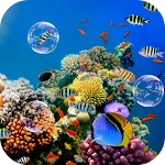 Colorful Tropical Fishes | Indus Appstore | App Icon