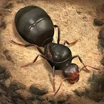 The Ants: Underground Kingdom | Indus Appstore | App Icon