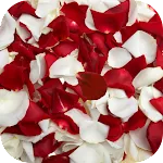 Rose petals Live Wallpaper | Indus Appstore | App Icon