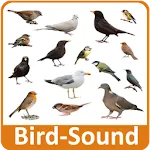 Bird Sounds | Indus Appstore | App Icon