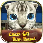 Crazy Cat Rush Racing | Indus Appstore | App Icon