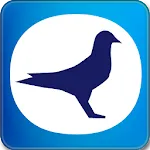 TOPigeon Online | Indus Appstore | App Icon