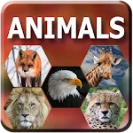 Animal wallpapers | Indus Appstore | App Icon