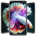 Betta Fish Wallpapers | Indus Appstore | App Icon