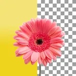 Background Remover App | Indus Appstore | App Icon