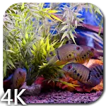 Aquarium Video Wallpaper | Indus Appstore | App Icon