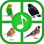 Birds Sounds And Ringtones | Indus Appstore | App Icon