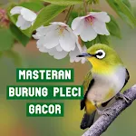 Masteran Burung Pleci Gacor | Indus Appstore | App Icon