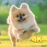 Cute Dog Wallpaper | Indus Appstore | App Icon