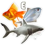 Fish Types | Goldfish Saltwate | Indus Appstore | App Icon