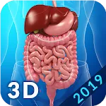 Digestive System | Indus Appstore | App Icon