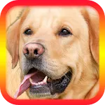 Translator for Dogs Prankapp icon