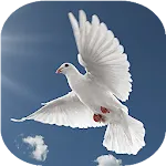 Musica cristiana | Indus Appstore | App Icon