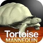 Tortoise Mannequinapp icon