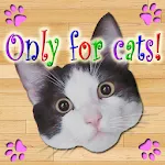 Only for Cats | Indus Appstore | App Icon