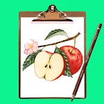 How to Draw Fruit Step by Step | Indus Appstore | App Icon