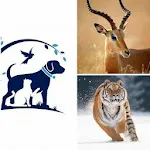 Animals  Information | Indus Appstore | App Icon