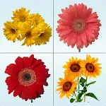 Flower Memory Matching Game | Indus Appstore | App Icon