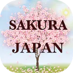 Japanese SAKURA of healing | Indus Appstore | App Icon