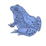 Frog Jump | Indus Appstore | App Icon