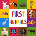 First Words for Baby: Animals | Indus Appstore | App Icon