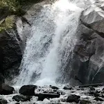 Waterfall Live Wallpaper | Indus Appstore | App Icon