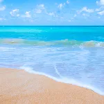 Summer Wallpaper & Beach HD | Indus Appstore | App Icon