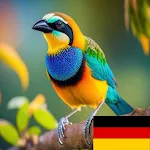 Learn Animals in German | Indus Appstore | App Icon