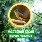 Masteran Kicau Kapas Tembak | Indus Appstore | App Icon