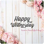 WEDNESDAY TO CELEBRATE LIFE | Indus Appstore | App Icon