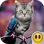 Simulator Morph Animal | Indus Appstore | App Icon