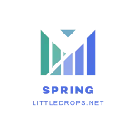 Spring Framework - Java | Indus Appstore | App Icon