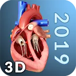 Heart Anatomy Pro. | Indus Appstore | App Icon