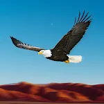 Bird Race Game 3D: Eagle Games | Indus Appstore | App Icon