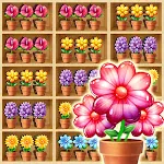 Sorting Flower Game | Indus Appstore | App Icon