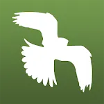 Little Bird Guide: Aves Europe | Indus Appstore | App Icon