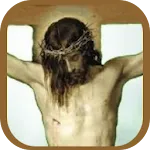 Terço das Santas Chagas Jesus | Indus Appstore | App Icon