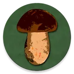 Book of Mushrooms | Indus Appstore | App Icon