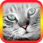 Translator for Cats Prank | Indus Appstore | App Icon